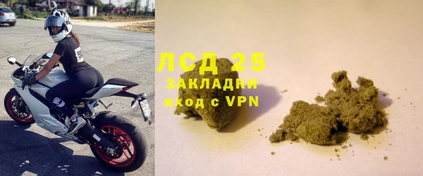 дмт Ельня
