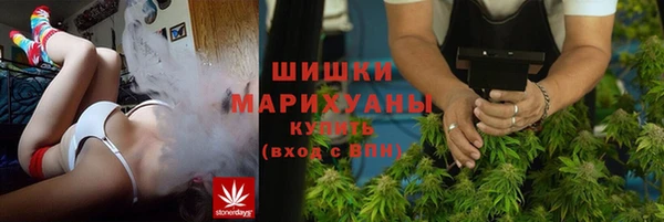 дмт Ельня