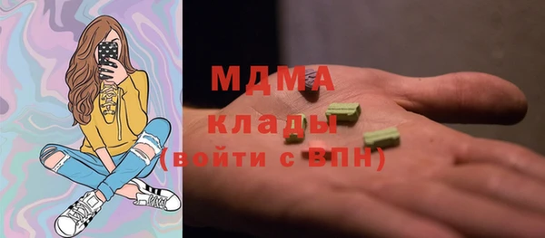 дмт Ельня