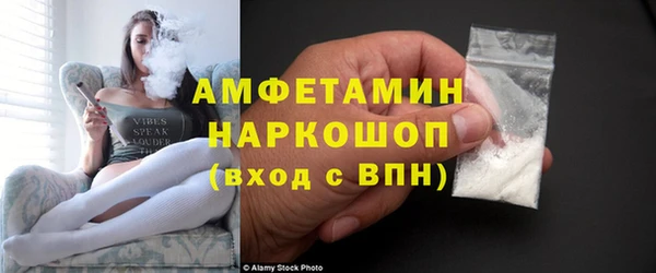 дмт Ельня