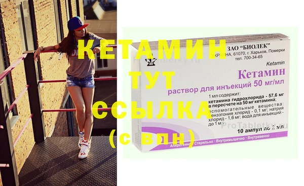 дмт Ельня
