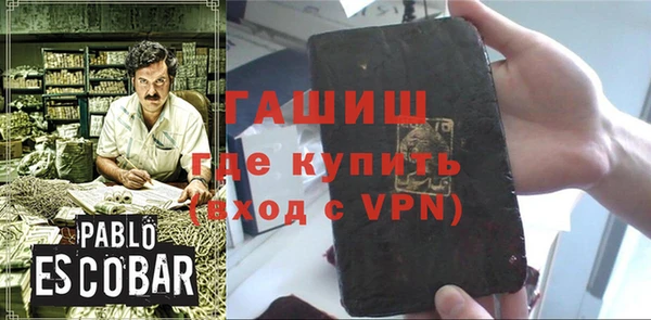 дмт Ельня