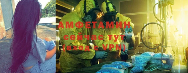 дмт Ельня