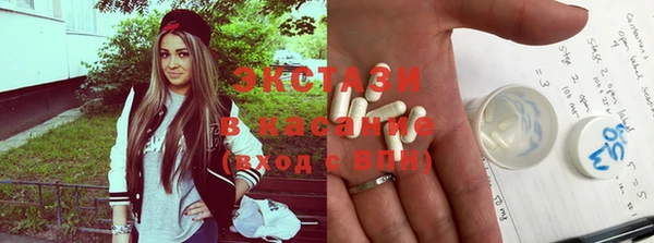 дмт Ельня