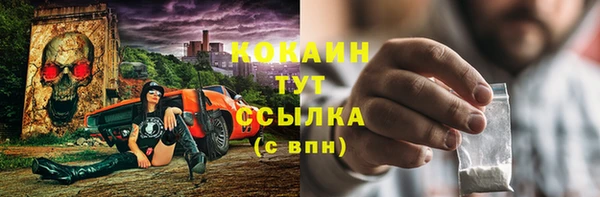 дмт Ельня