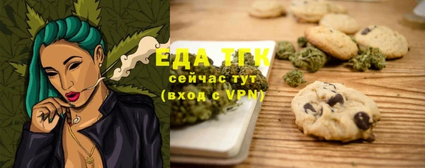 дмт Ельня